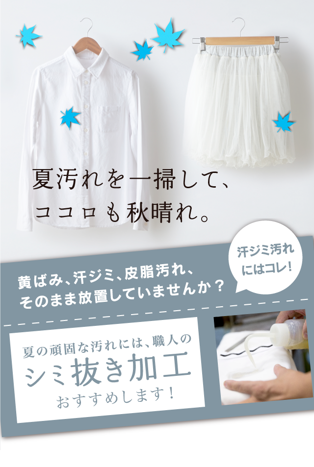すっきり洗ってさわやかな季節へ